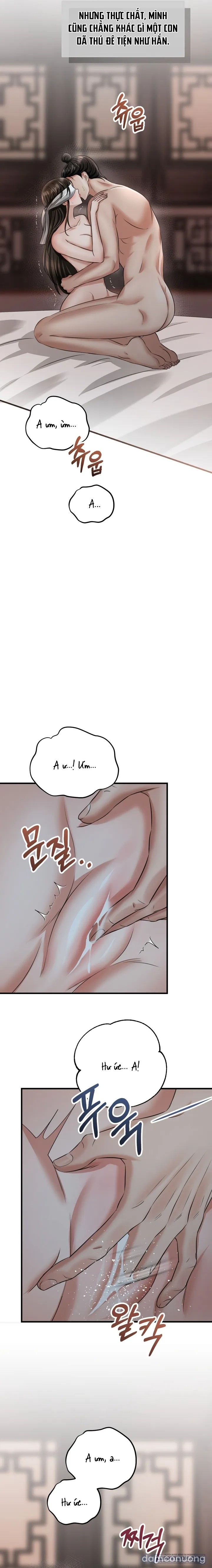 [18+] Kẻ Nhìn Trộm 