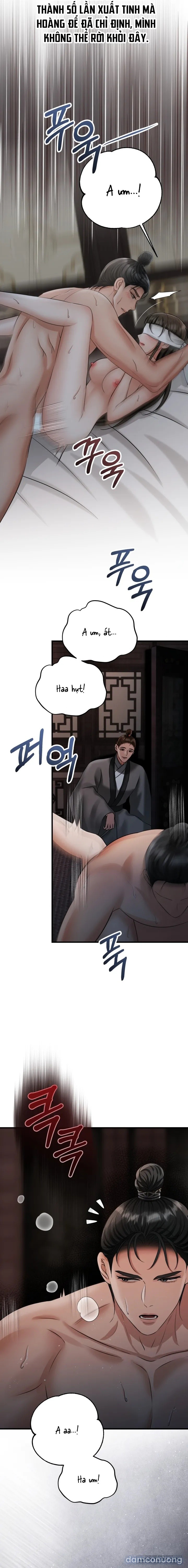 [18+] Kẻ Nhìn Trộm 