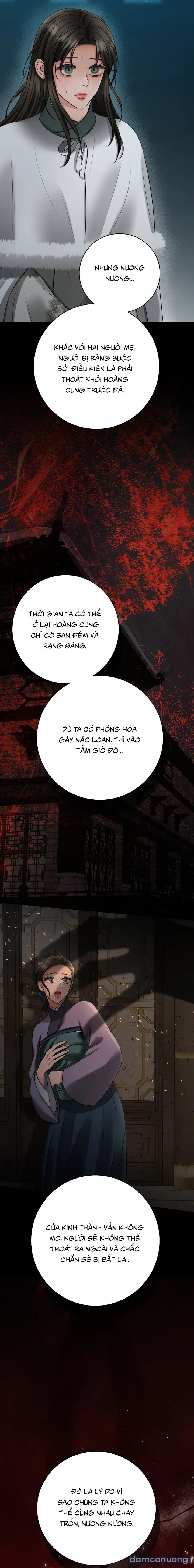 [18+] Kẻ Nhìn Trộm 