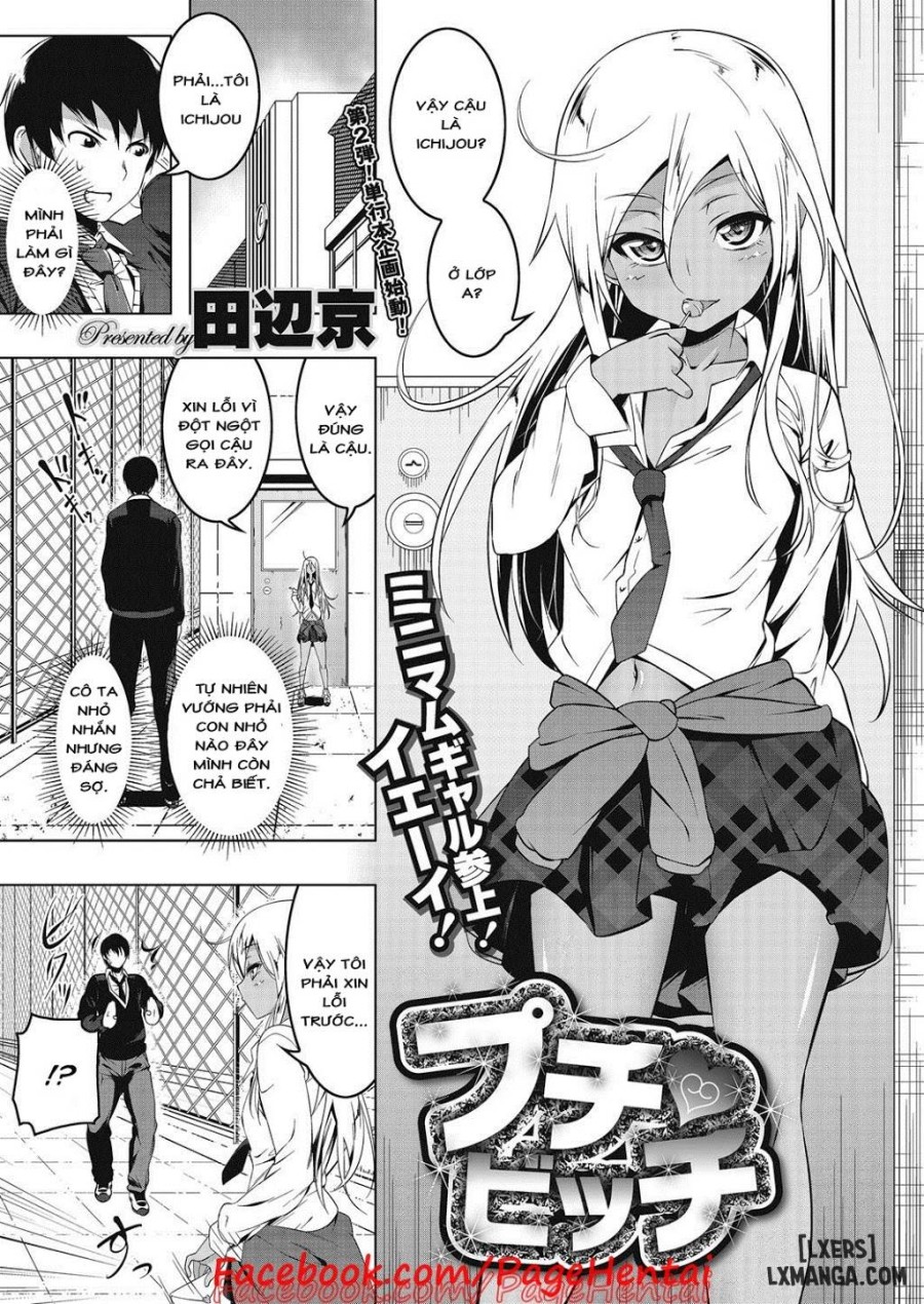 Puchi Bitch 