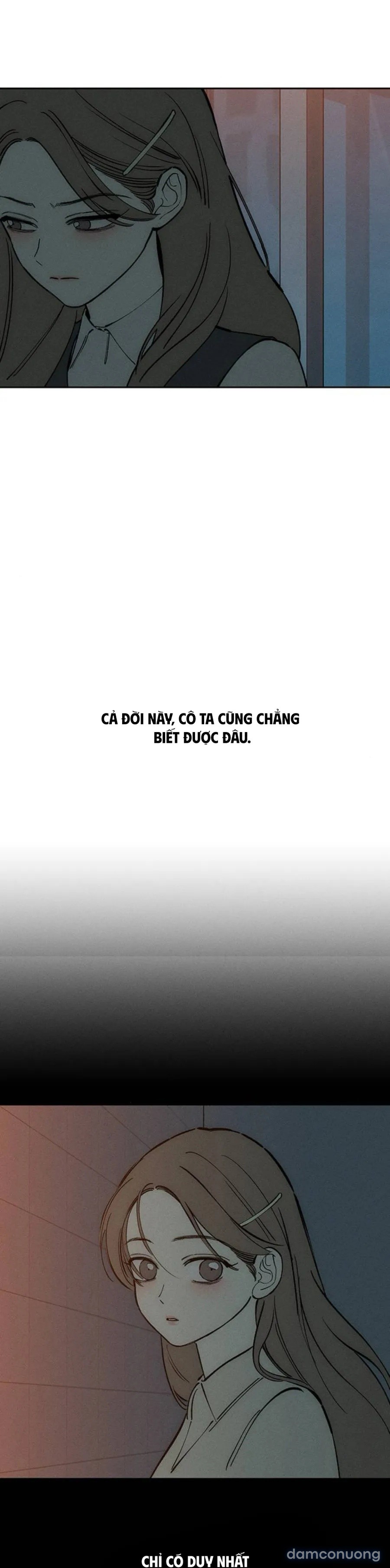 Lệ Vương Trên Cánh Hoa Tàn 