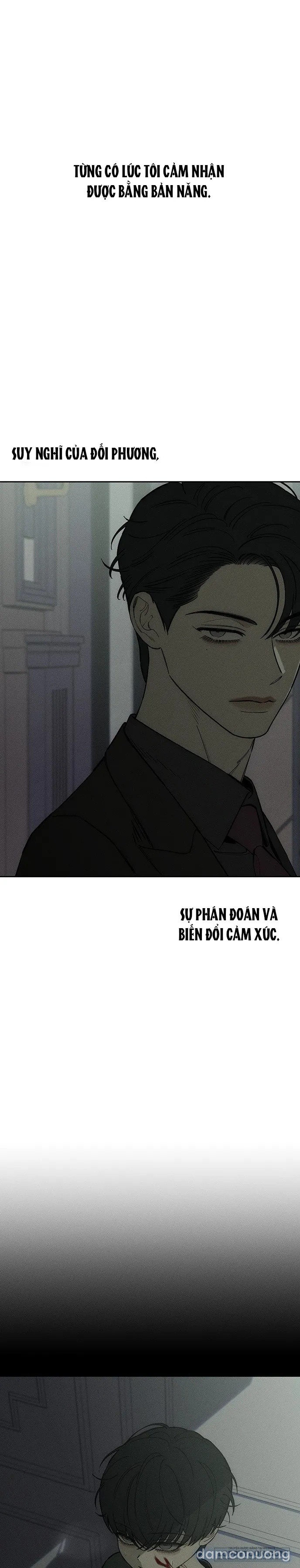 Lệ Vương Trên Cánh Hoa Tàn 