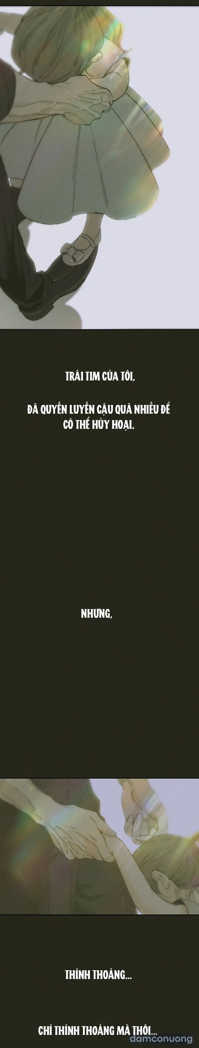 Lệ Vương Trên Cánh Hoa Tàn 