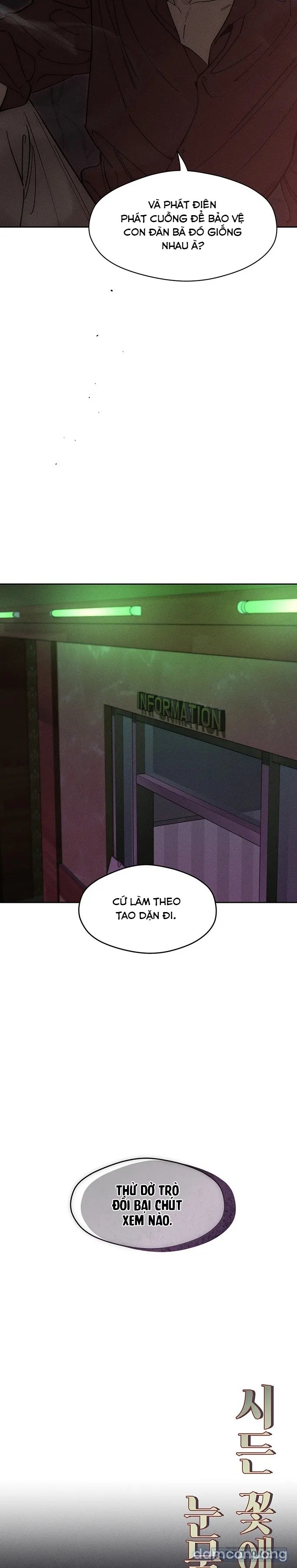 Lệ Vương Trên Cánh Hoa Tàn 