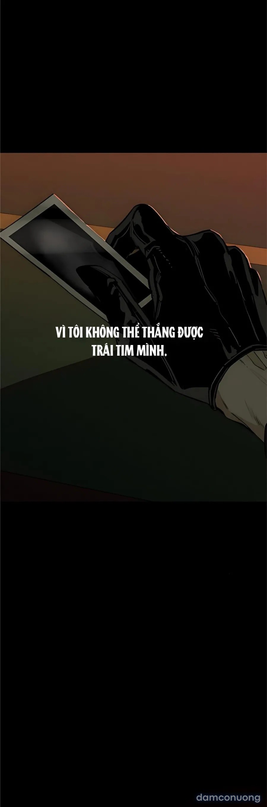 Lệ Vương Trên Cánh Hoa Tàn 