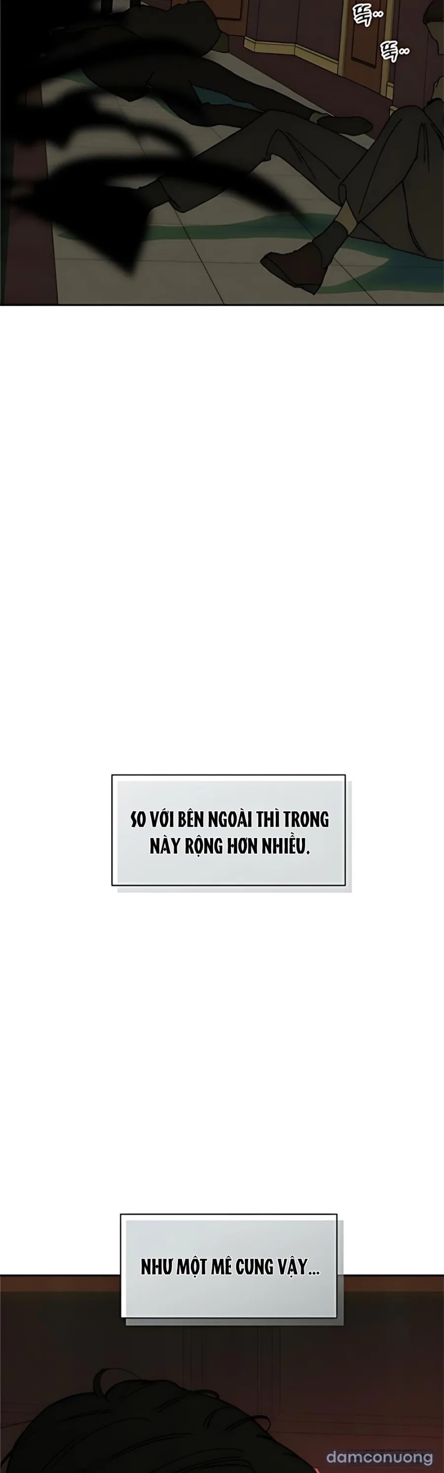 Lệ Vương Trên Cánh Hoa Tàn 