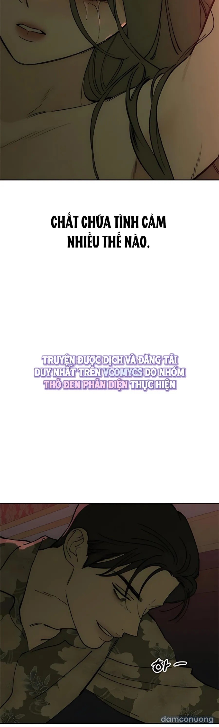 Lệ Vương Trên Cánh Hoa Tàn 