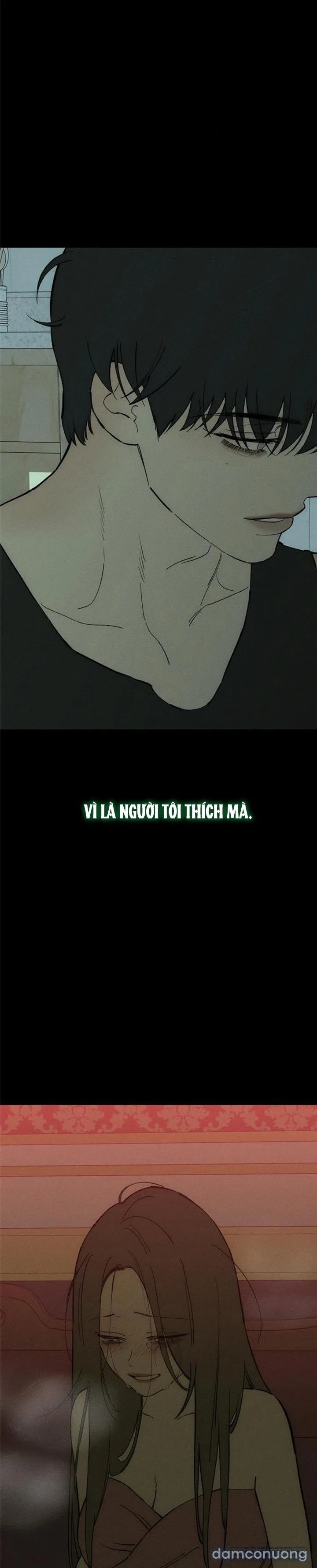Lệ Vương Trên Cánh Hoa Tàn 
