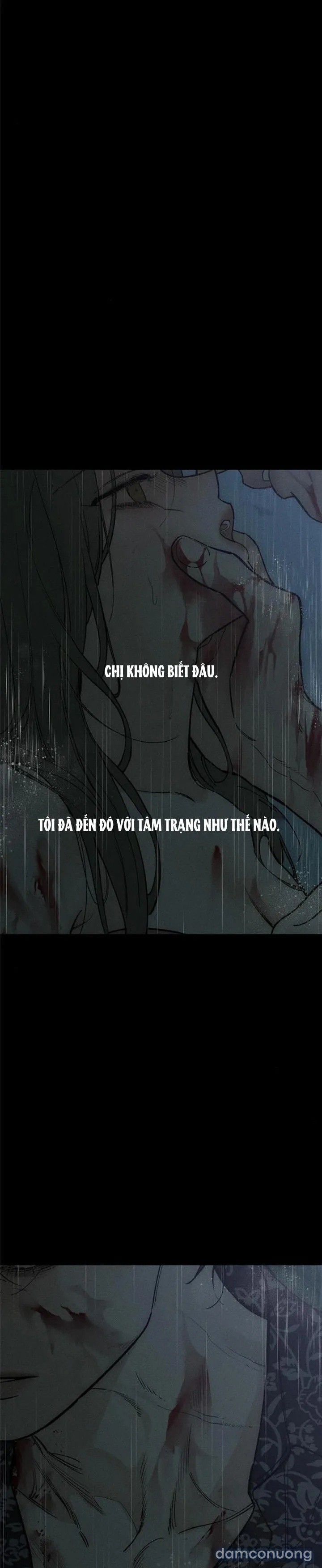Lệ Vương Trên Cánh Hoa Tàn 