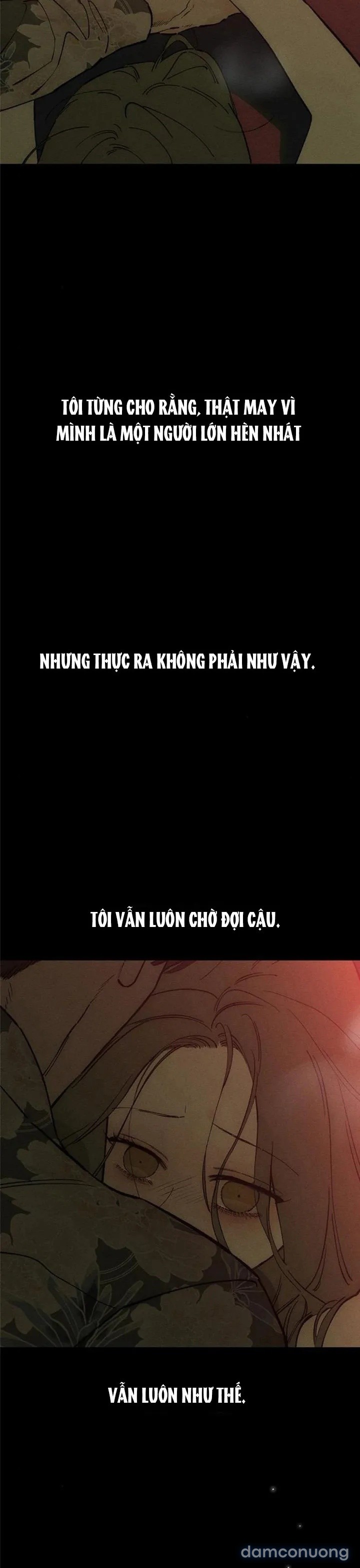 Lệ Vương Trên Cánh Hoa Tàn 