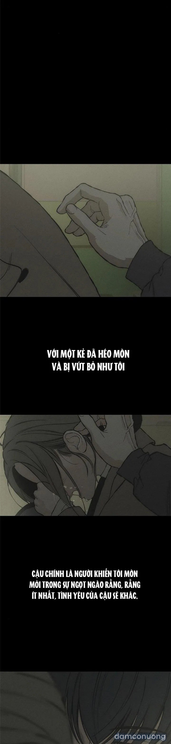 Lệ Vương Trên Cánh Hoa Tàn 