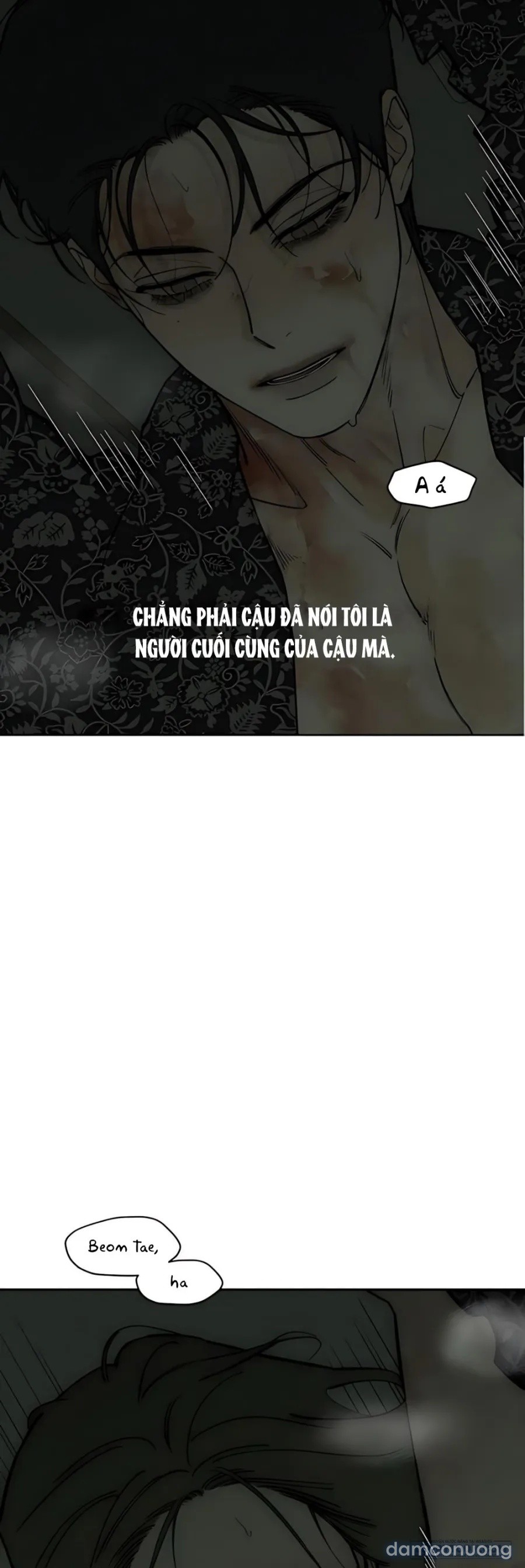 Lệ Vương Trên Cánh Hoa Tàn 