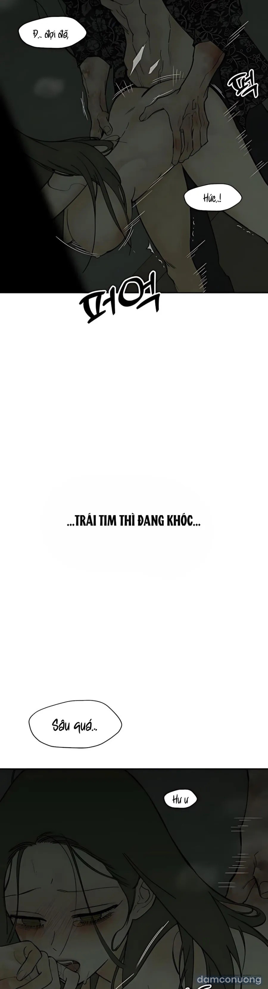 Lệ Vương Trên Cánh Hoa Tàn 
