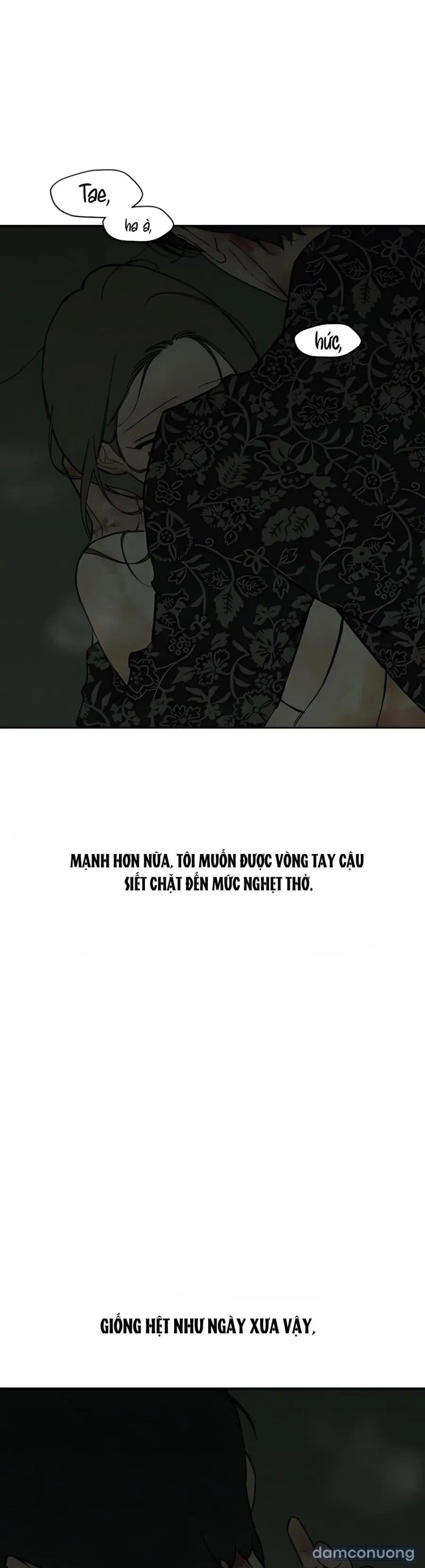 Lệ Vương Trên Cánh Hoa Tàn 