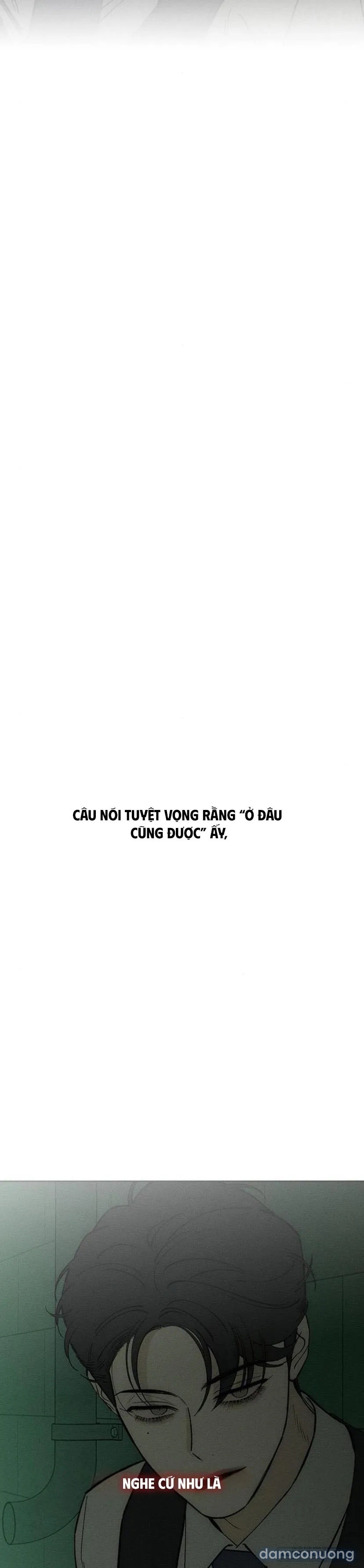 Lệ Vương Trên Cánh Hoa Tàn 