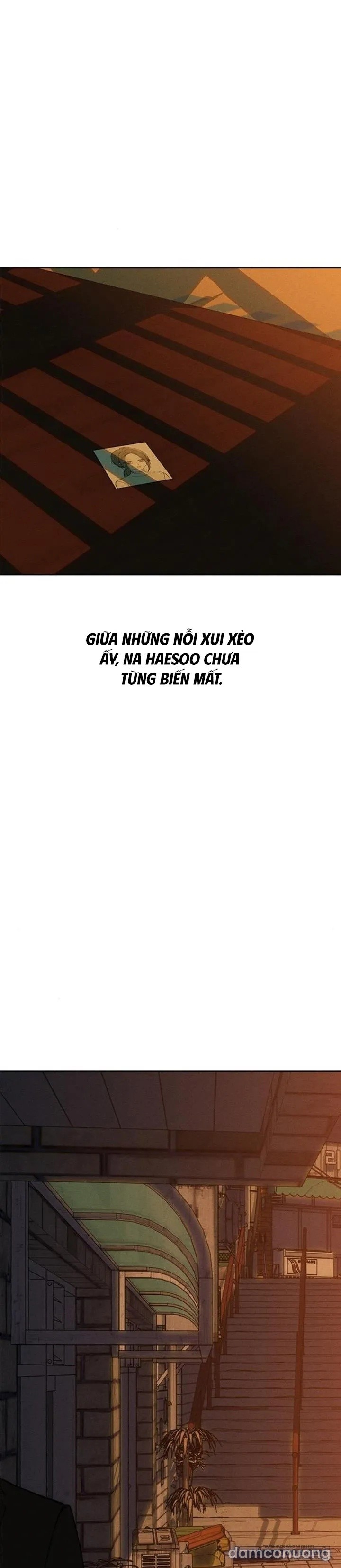 Lệ Vương Trên Cánh Hoa Tàn 