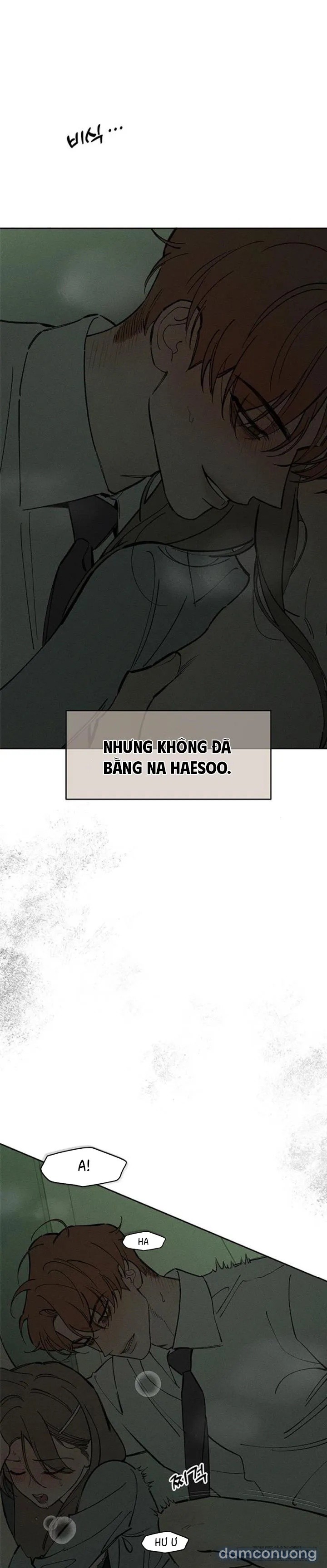 Lệ Vương Trên Cánh Hoa Tàn 