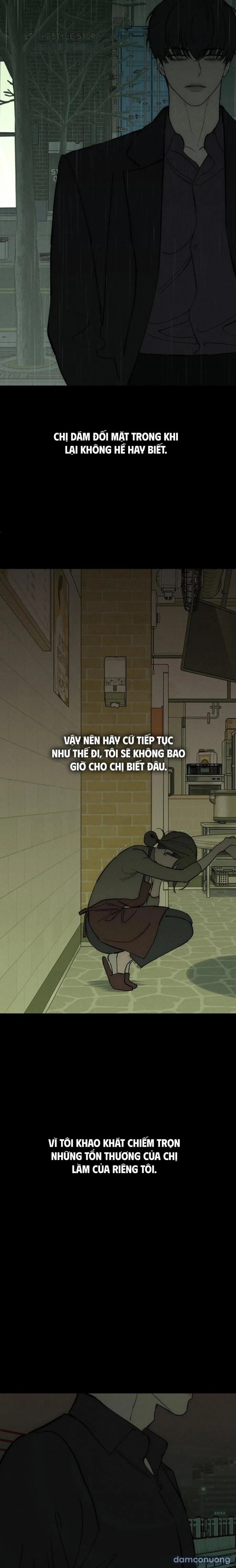 Lệ Vương Trên Cánh Hoa Tàn 