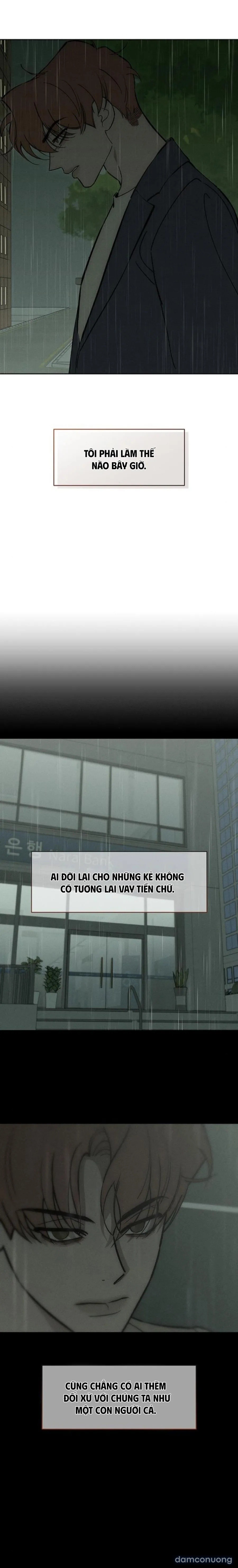 Lệ Vương Trên Cánh Hoa Tàn 