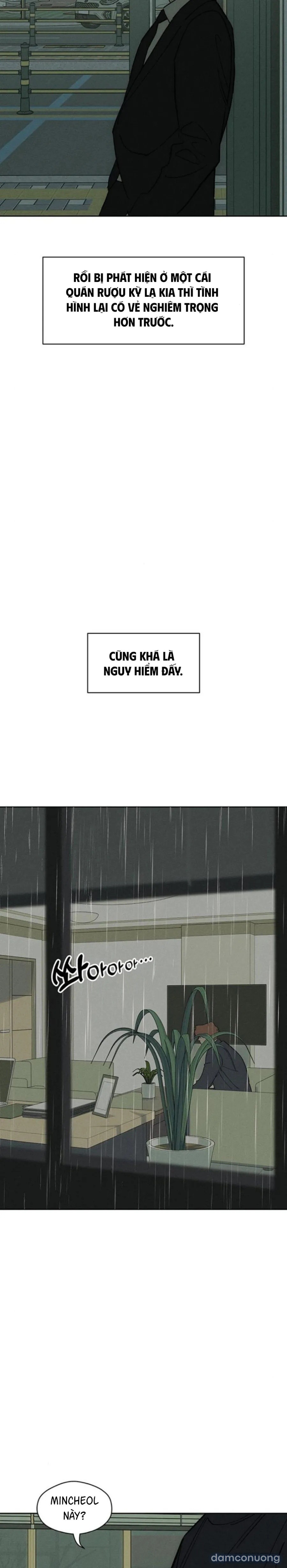 Lệ Vương Trên Cánh Hoa Tàn 