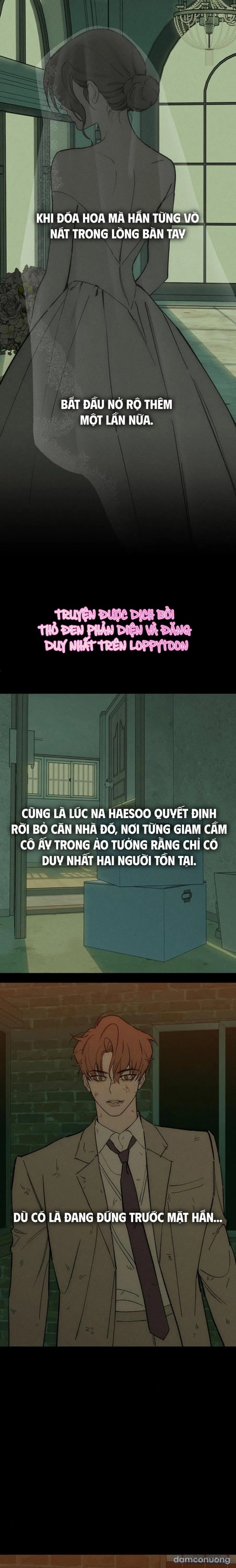 Lệ Vương Trên Cánh Hoa Tàn 