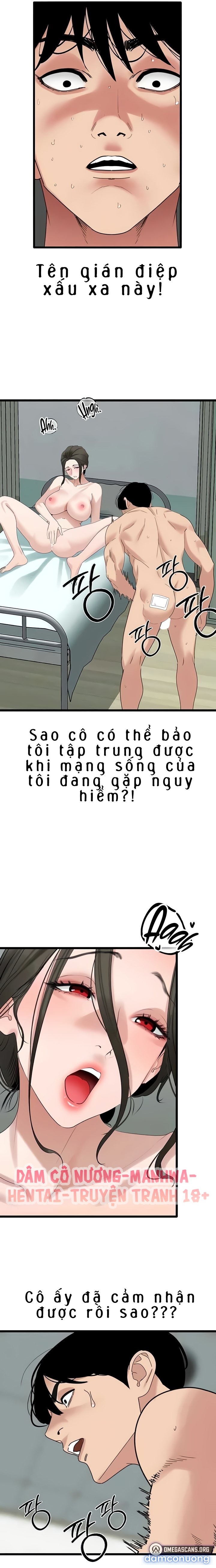 Đặc Vụ Ngầm Cấp SSS 