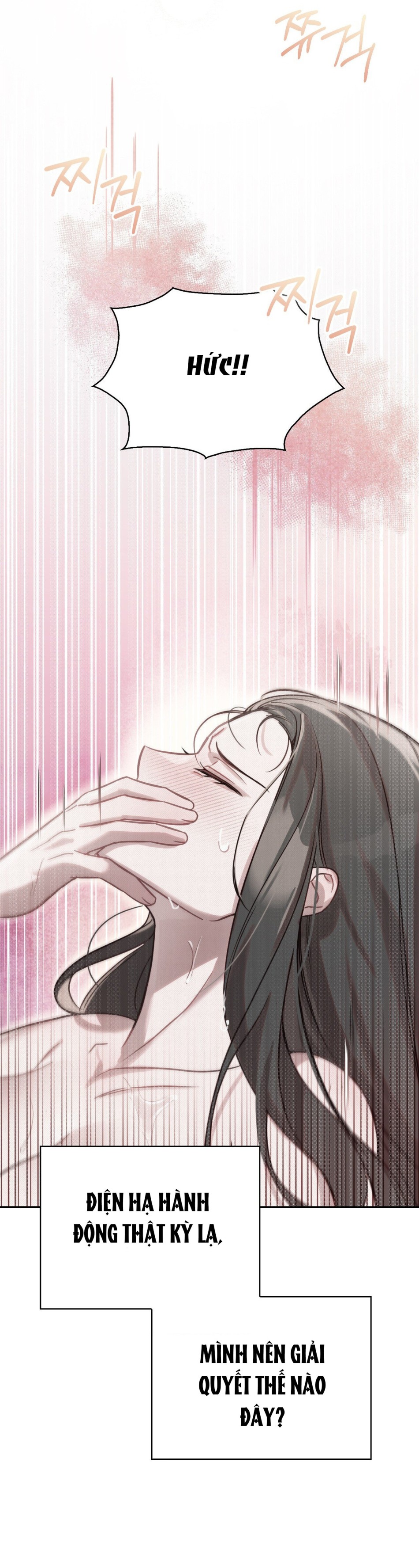 [18+] Hậu Cung Kế 
