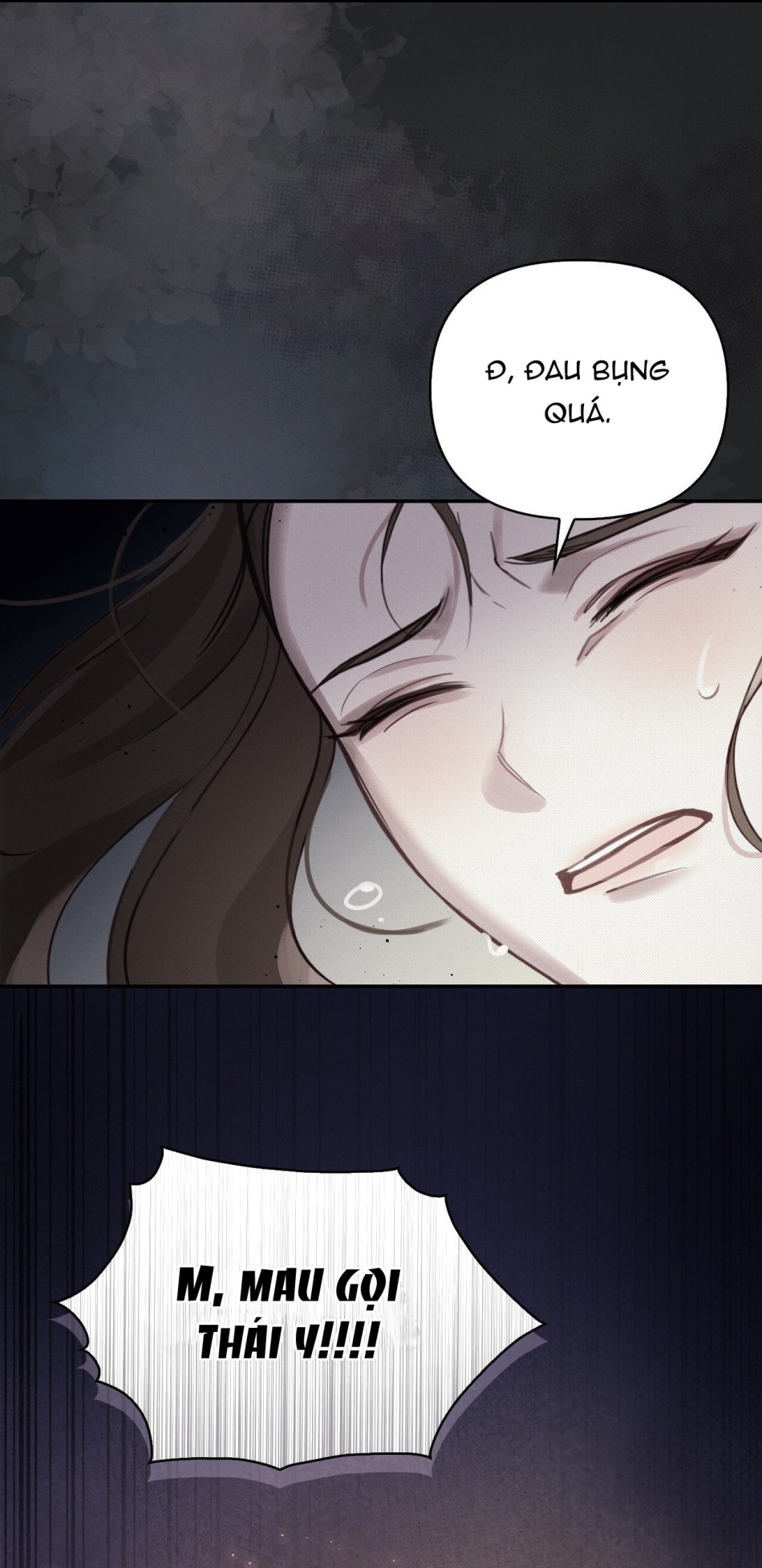 [18+] Hậu Cung Kế 