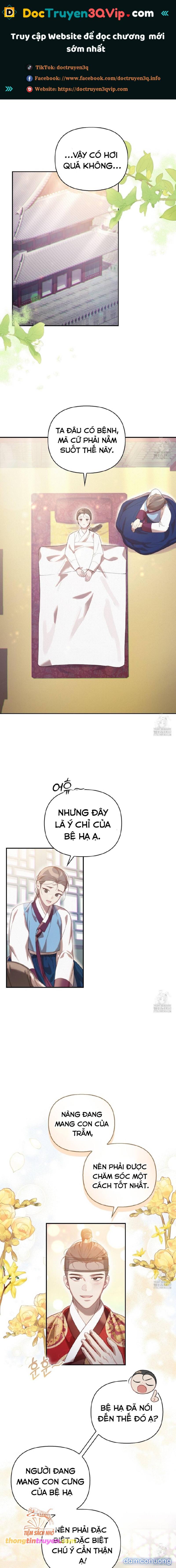 [18+] Hậu Cung Kế 