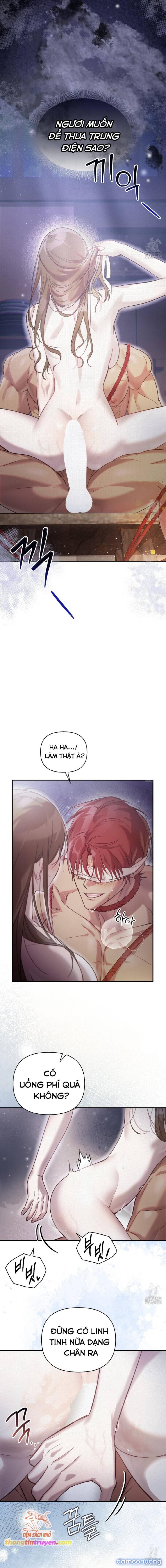 [18+] Hậu Cung Kế 