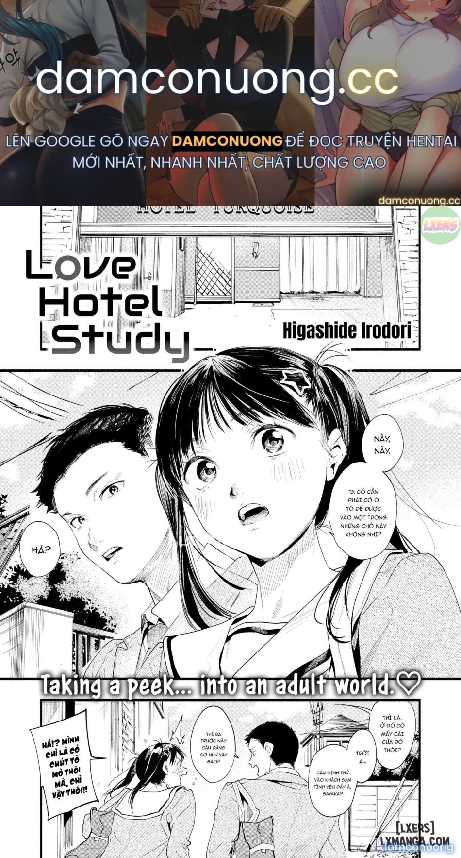 Love Hotel Study 