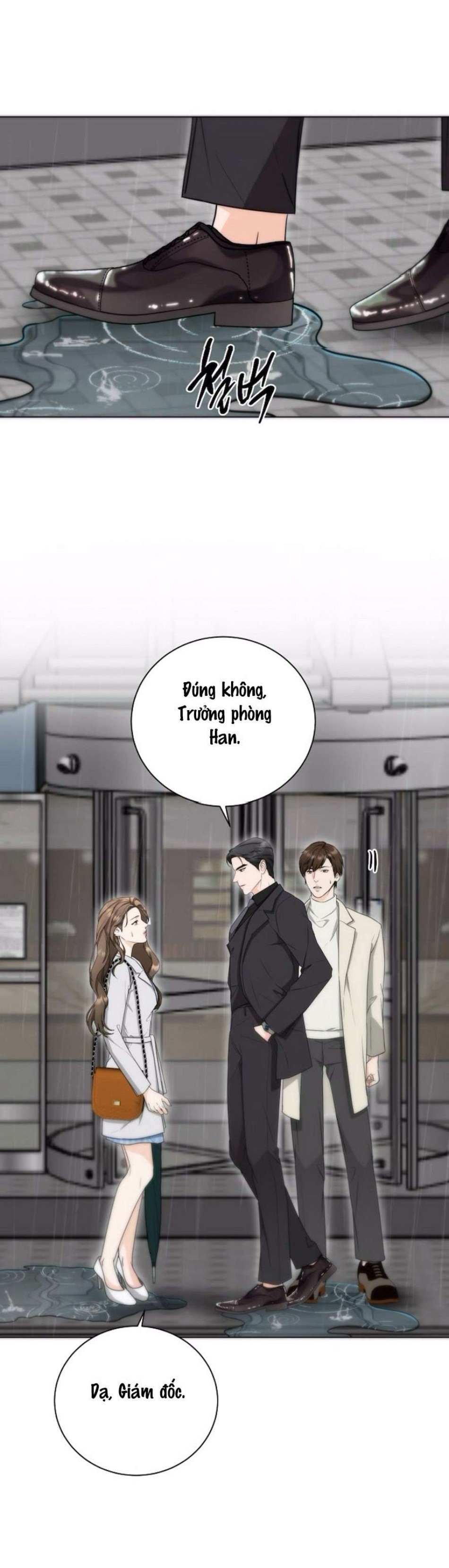 Quyết Tâm Bị Ruồng Bỏ 