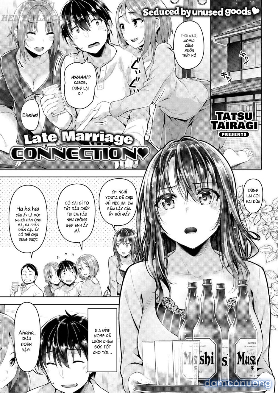 Late Marriage Connection 