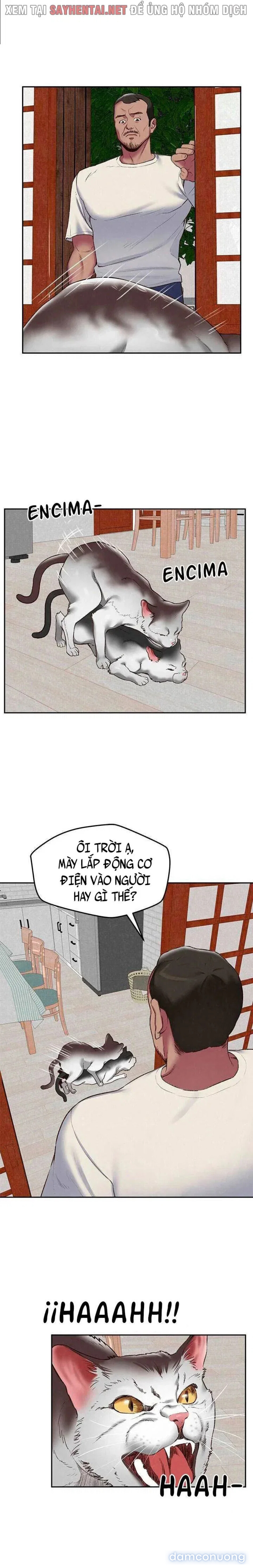 Cô gái nhỏ bé dâm đãng 
