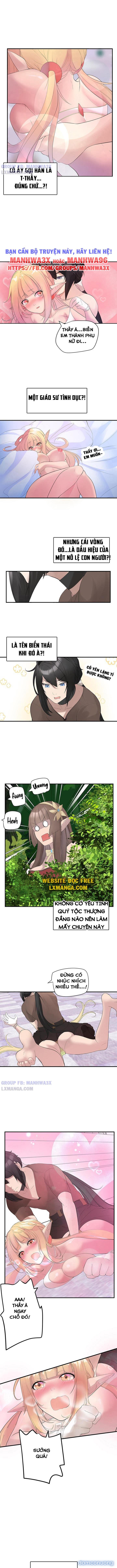 Nô lệ tộc elf 