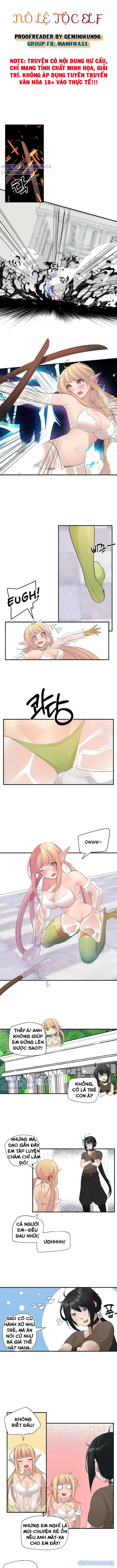 Nô lệ tộc elf 