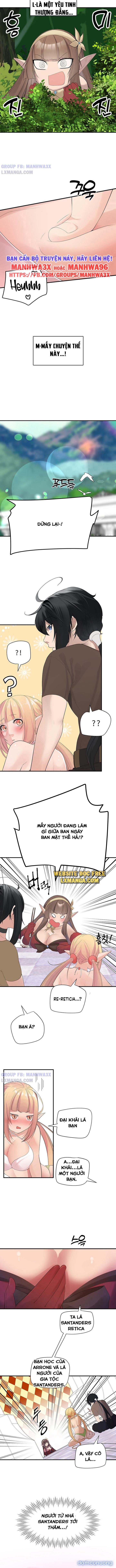 Nô lệ tộc elf 