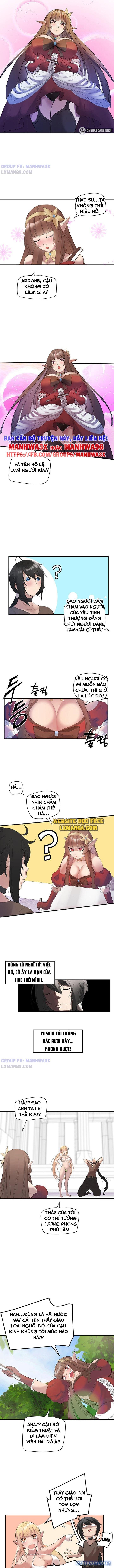 Nô lệ tộc elf 