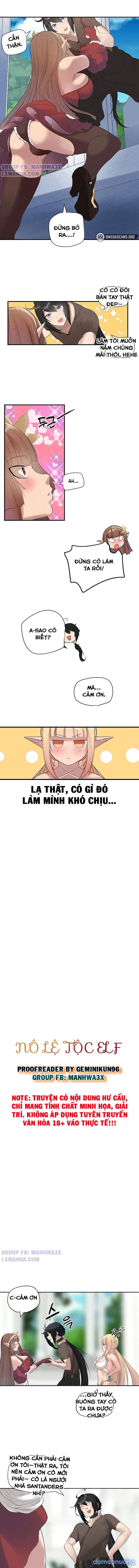 Nô lệ tộc elf 