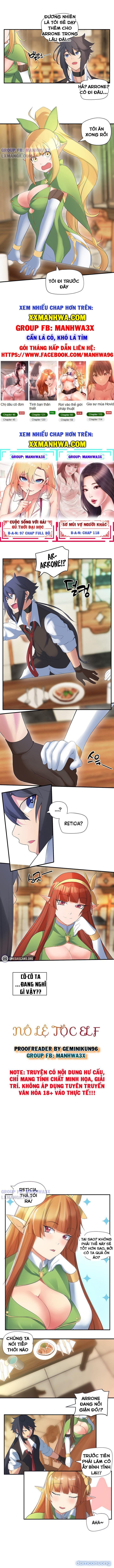 Nô lệ tộc elf 