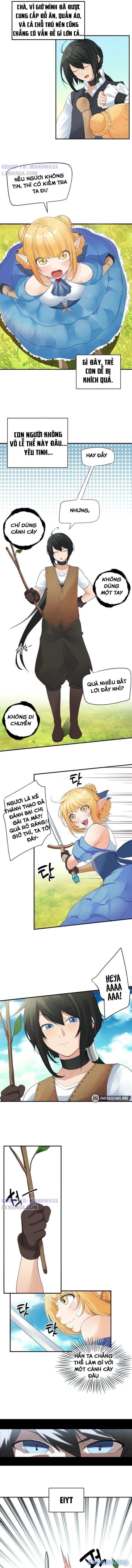 Nô lệ tộc elf 