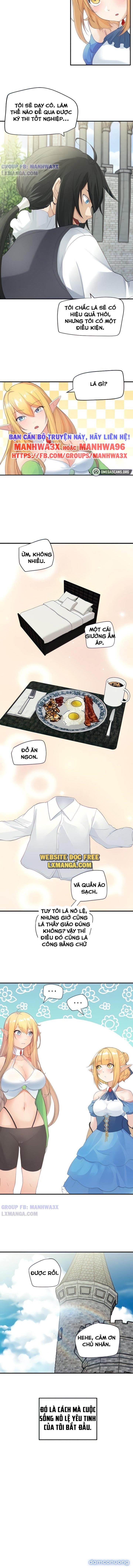 Nô lệ tộc elf 
