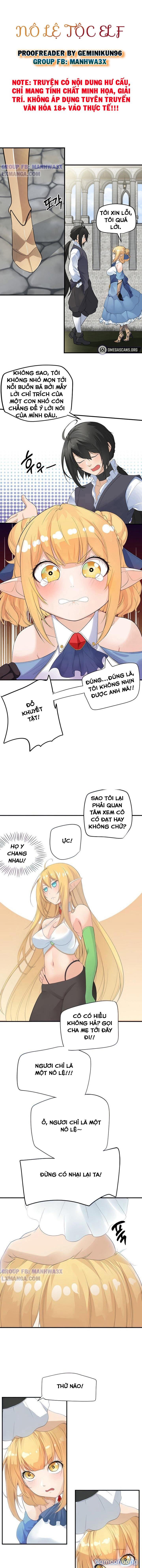 Nô lệ tộc elf 