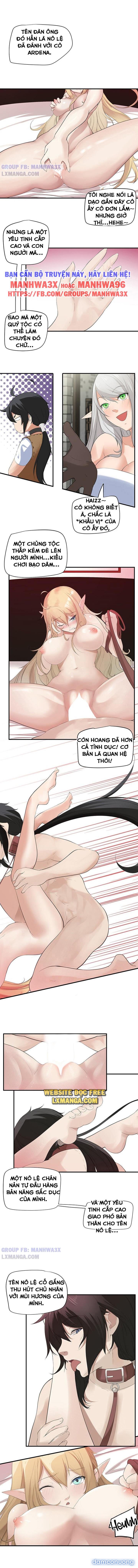 Nô lệ tộc elf 