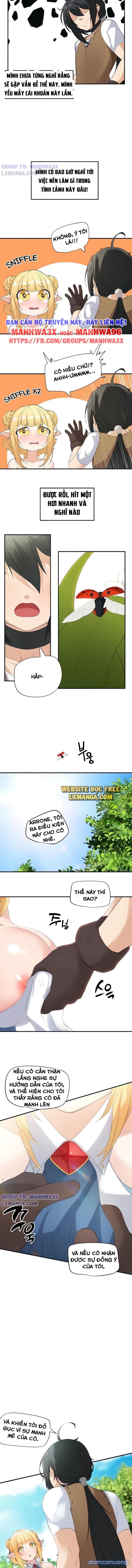 Nô lệ tộc elf 