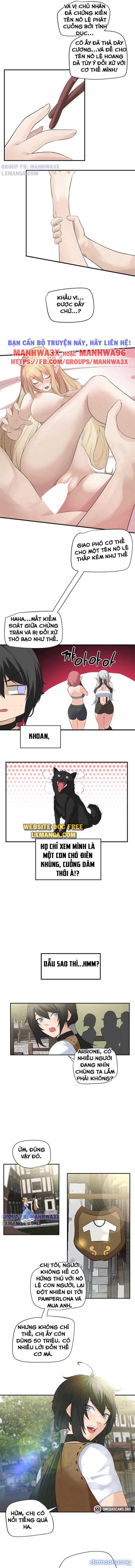 Nô lệ tộc elf 