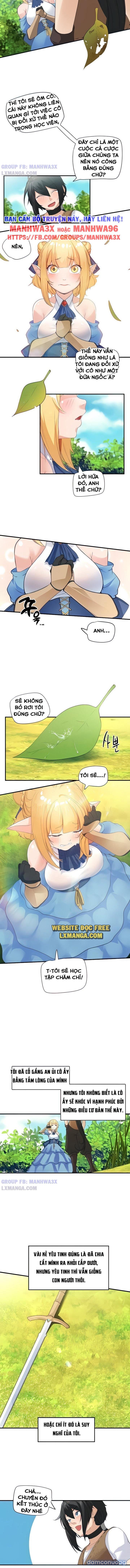 Nô lệ tộc elf 