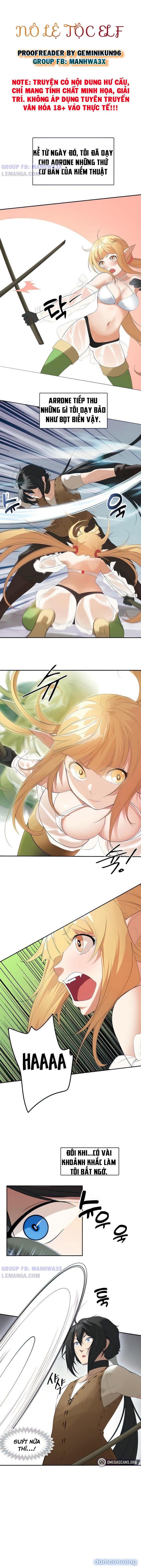 Nô lệ tộc elf 