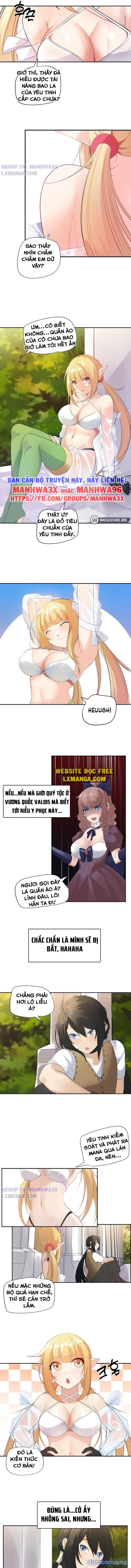 Nô lệ tộc elf 