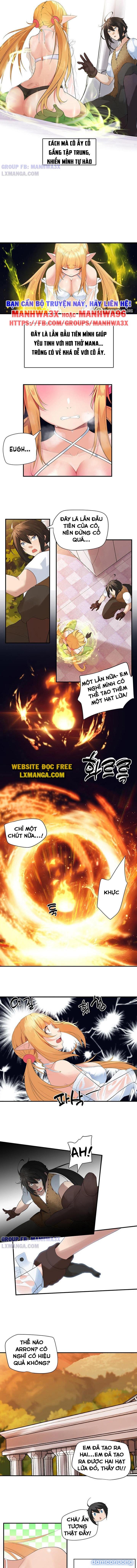 Nô lệ tộc elf 
